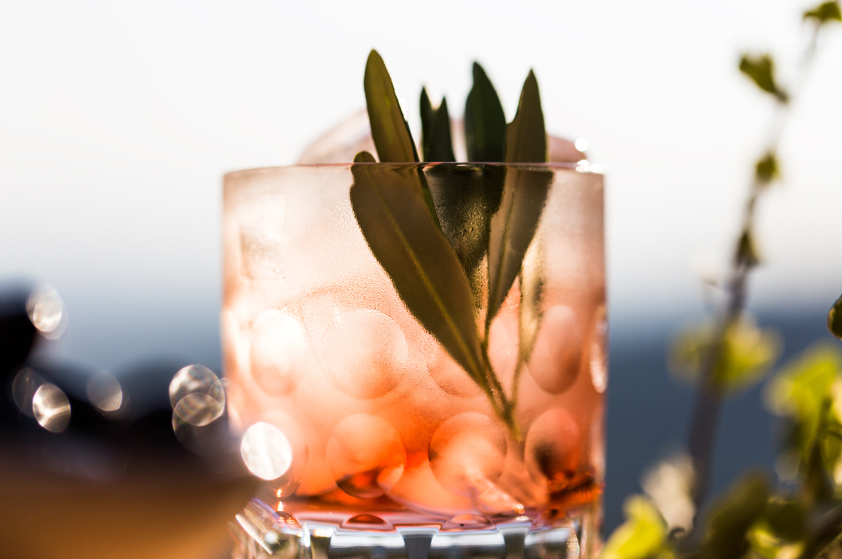 Tuscan Negroni